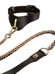 COLLAR & LEASH