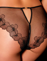 Isla Bra & Bottom Lingerie Set