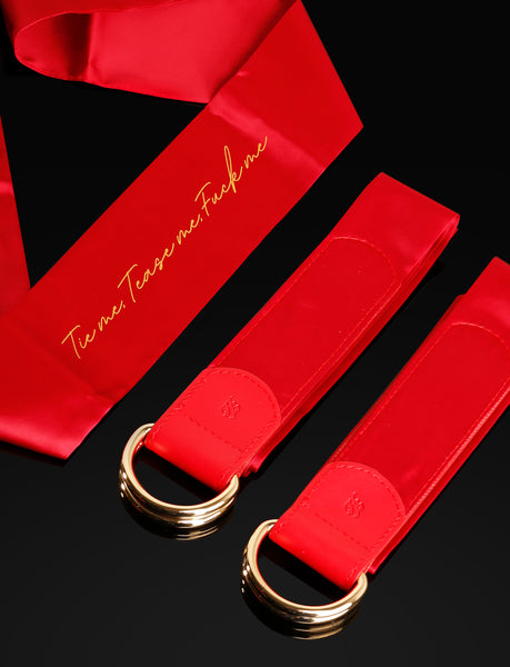 Deluxe Red Satin Bondage Kit